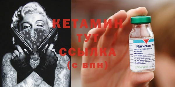 прущие грибы Наволоки