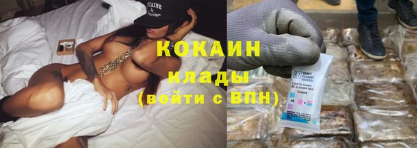 прущие грибы Наволоки