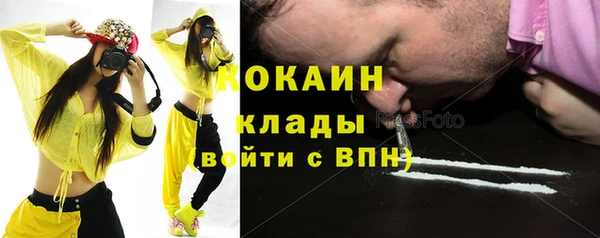 прущие грибы Наволоки