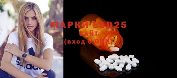 прущие грибы Наволоки