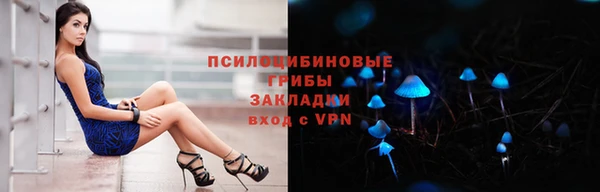 PSILOCYBIN Надым