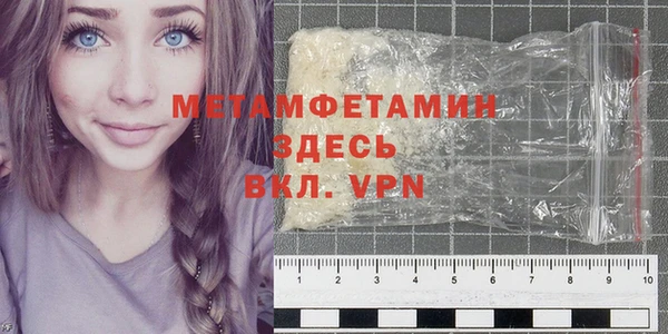 прущие грибы Наволоки