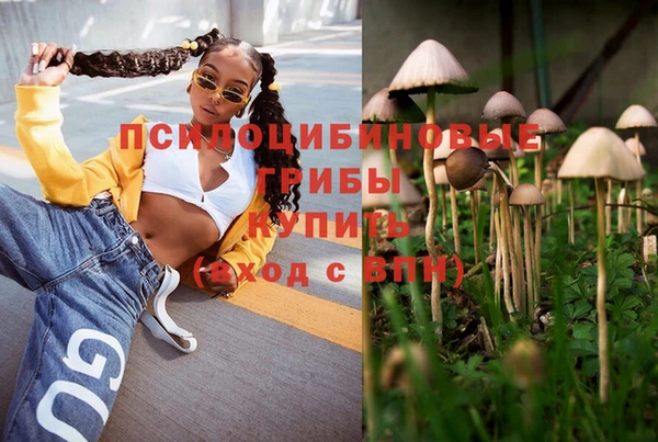 PSILOCYBIN Надым