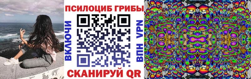 как найти наркотики Нефтекумск Псилоцибиновые грибы мицелий
