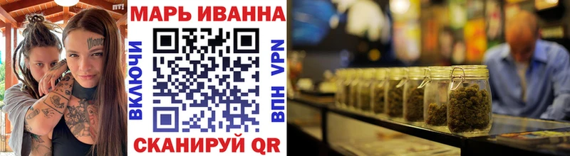 Каннабис сатива Нефтекумск